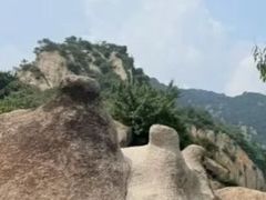 -大岭沟猕猴桃谷风景区