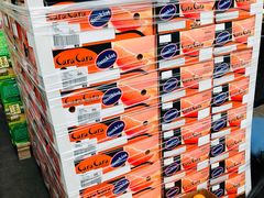 -上海龙吴水胜海发市场