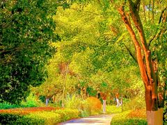 -昆山城市生态森林公园