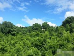-东部华侨城