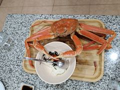 -震海贝烤贝·民俗特色店(延吉总店)
