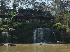 -中国科学院西双版纳热带植物园