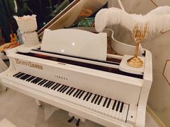 -乐尚音乐空间·钢琴·声乐·架子鼓(会展中心店)
