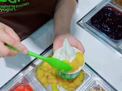 -Salud撒露欧洲冻酸奶(蓝色港湾店)