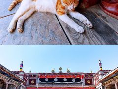 -塔尔寺