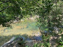 -广州白江湖森林公园