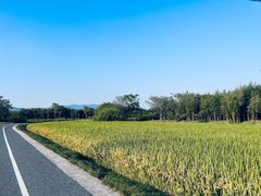 -良渚古城遗址公园