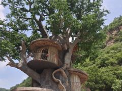 -爱情山风景区