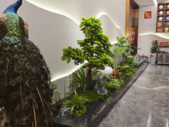 -牧雲子·臻选云南菜 .商务宴请(泰然大厦店)
