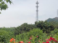 -密云玫瑰情园