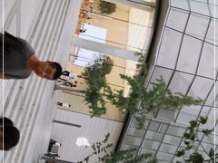 -Apple零售店(济南恒隆广场店)