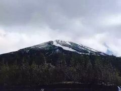 沈阳国旅(铁西广场门市部)-沈阳国旅(铁西广场门市部)