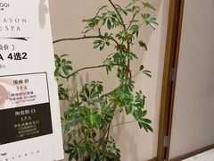 -OMSPA(盛景尚峰店)