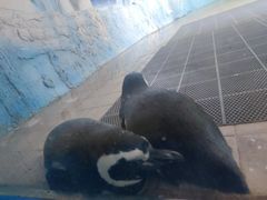 -常州海昌海洋探索馆