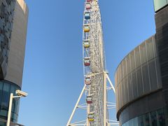 -琴岛之星摩天轮