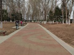 -莫子山公园