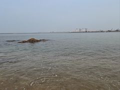 -仙人岛风景区