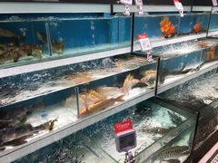 -盒马鲜生(莱蒙都会店)