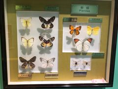 -上海昆虫博物馆