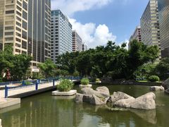 -華人 華星冰室(氹仔 店)