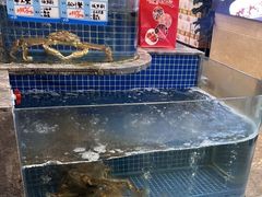 -骏莱海鲜鱼港(五角场店)