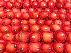 -AEON超市(永旺梦乐城泰达店)