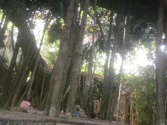 -龙达温泉生态城