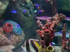 -沈阳海洋探索中心