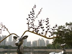 -西北湖绿化广场