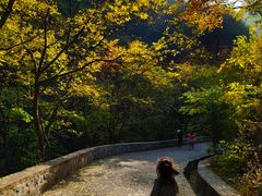 -北京上方山国家森林公园