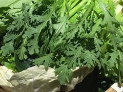 -东道煮牛肉火锅(东盛大街店)