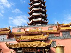 -仙岳公园