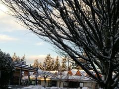 -鼎泰丰(Bellevue Square)