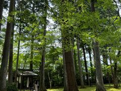 -三千院