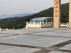 -铁山坪森林公园