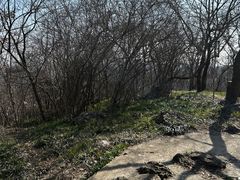 -镇江市南山风景名胜区竹林景区