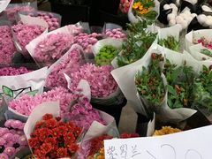 -秦美花卉(天朗·莱茵小城2期店)