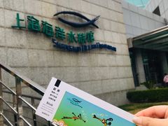 -上海海洋水族馆