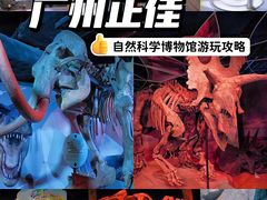 -正佳自然科学博物馆