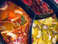 奔驰锅底-蜀大侠火锅(森兰花园城店)