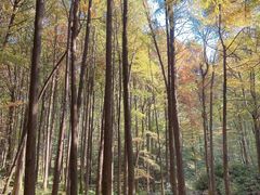 -波尔登森林公园