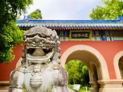 -灵谷景区