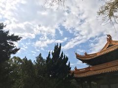 -普陀山风景名胜区-法雨禅寺