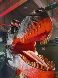 -恐龙探索乐园(磁器口店)