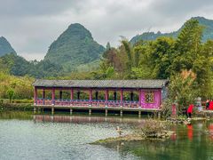 -靖西鹅泉风景区