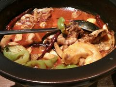 黑松茸牛肝菌牛蛙-云海肴·汽锅鸡·云南菜(天山百盛优客店)