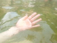-息烽温泉