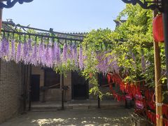 -魏氏庄园