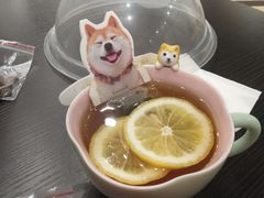 -逗柴咖啡屋·狗咖猫咖宠物桌游