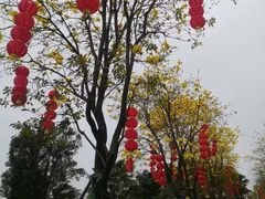 -洲头咀公园